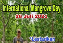 256 Ribu Bibit Mangrove Bakal Ditanam di Manokwari 256 Ribu Bibit Mangrove Bakal Ditanam di Manokwari