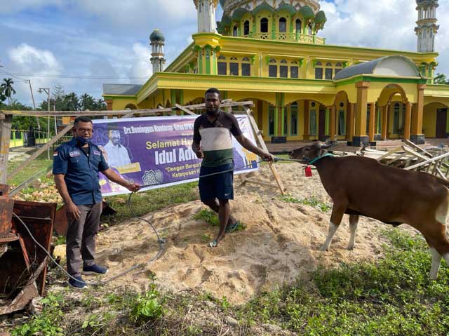 Kaimana Dapat Bantuan Lima Sapi Kurban Nasdem Papua Barat