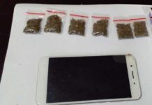 4 Juragan Narkoba Dibekuk Ditnarkoba Polda Papua Barat 4 Juragan Narkoba Dibekuk Ditnarkoba Polda Papua Barat