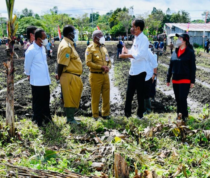 Presiden Beli Jagung Pinggir Jalan di Papua Barat