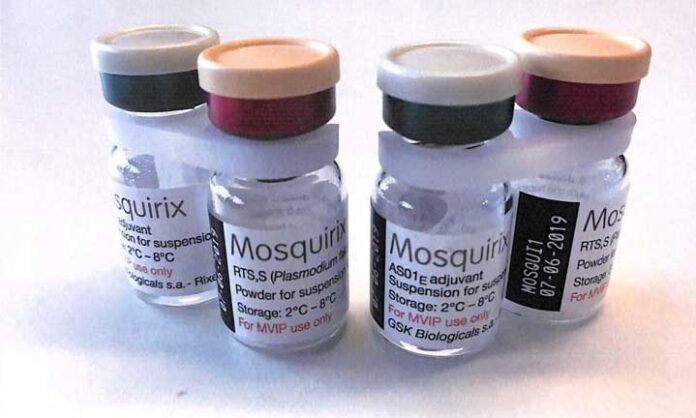 WHO Rekomendasikan Vaksin Malaria Pertama Dunia