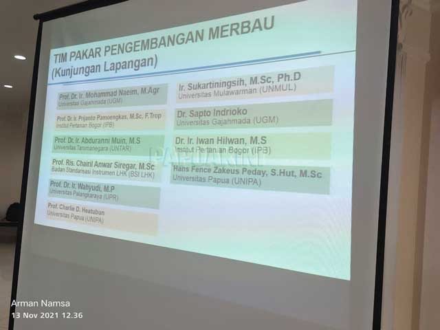 Papua Barat Optimalkan Sekaligus Lestarikan Kayu Besi Merbau Melalui Silvikultur Intensif