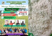 Beras Pramasi Surplus, KPPS Manokwari Bantu Pasarkan Beras Pramasi Surplus, KPPS Manokwari Bantu Pasarkan