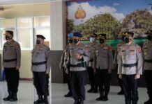 Kapolres Manokwari, Mansel, dan Sorong Kota Serta 3 Perwira Sertijab Kapolres Manokwari, Mansel, dan Sorong Kota Serta 3 Perwira Sertijab