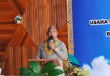 2022 Papua Barat Banjir Formasi CPNS OAP dan Honorer, Termasuk Jaksa 2022 Papua Barat Banjir Formasi CPNS OAP dan Honorer, Termasuk Jaksa