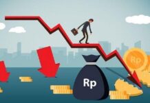 Realisasi Pendapatan APBN 2022 Papua Barat Turun Realisasi Pendapatan APBN 2022 Papua Barat Turun