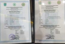 Semangka Manokwari dan Jeruk Manis Mansel Raih Sertifikat Produk Prima 3 Semangka Manokwari dan Jeruk Manis Mansel Raih Sertifikat Produk Prima 3