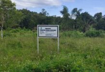 Ketua Koperasi Kasuari Sejahtera Mandiri Bilang Perumahan ASN Papua Barat Belum Dibangun Ketua Koperasi Kasuari Sejahtera Mandiri Bilang Perumahan ASN Papua Barat Belum Dibangun