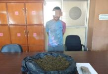 Polisi Kembali Tangkap Pembawa Ganja Polisi Kembali Tangkap Pembawa Ganja