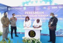 Rumah Produksi Abon Ikan dan Pabrik Mini Pakan Ternak Ayam Diresmikan Rumah Produksi Abon Ikan dan Pabrik Mini Pakan Ternak Ayam Diresmikan