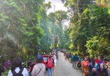 Masyarakat Penuhi Gunung Meja Manokwari. Ada Apa? Masyarakat Penuhi Gunung Meja Manokwari. Ada Apa?