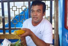 Pejasa Angkutan Manokwari Bintuni Pasrah Soal Tarif Pejasa Angkutan Manokwari Bintuni Pasrah Soal Tarif