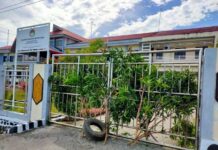 Sejumlah Honorer Palang Dinas Kesehatan Papua Barat