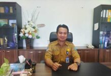 Bapenda Papua Barat Antisipasi Pemisahan PAD PKB ke Papua Barat Daya Bapenda Papua Barat Antisipasi Pemisahan PAD PKB ke Papua Barat Daya