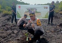Polres Kaimana Tanam Puluhan Mangrove HUT 72 Humas Polri Polres Kaimana Tanam Puluhan Mangrove HUT 72 Humas Polri