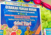 Gelar Pangan Murah, DKPP Kaimana Siapkan 400 Paket Sembako Gelar Pangan Murah, DKPP Kaimana Siapkan 400 Paket Sembako