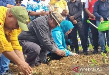 Gubernur Papua Barat Canangkan Penanaman Serentak Komoditas Penyumbang Inflasi Gubernur Papua Barat Canangkan Penanaman Serentak Komoditas Penyumbang Inflasi