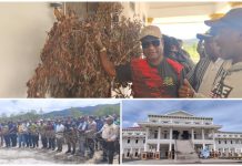 Bupati Pegaf Ingatkan Pemalangan Rugikan Diri Sendiri dan Masyarakat Bupati Pegaf Ingatkan Pemalangan Rugikan Diri Sendiri dan Masyarakat