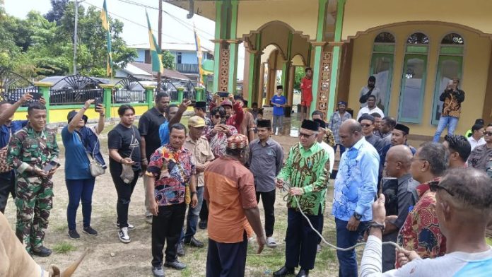 Bupati Kaimana Terima Kasih Dapat Bantuan Sapi Kurban dari Pemprov dan Presiden