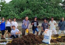 Rumput Laut di Pantai Petrus Kafiar Potensi Nutrisi Pupuk Organik Ramah Lingkungan Rumput Laut di Pantai Petrus Kafiar Potensi Nutrisi Pupuk Organik Ramah Lingkungan