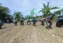 DKPP Kaimana dan Panitia Sidang Sinode Gereja Pentakosta Tanam Padi Ladang DKPP Kaimana dan Panitia Sidang Sinode Gereja Pentakosta Tanam Padi Ladang