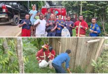 Damkar Ternyata Bukan Cuma Buat Padamkan Kebakaran, Bisa Juga Untuk Evakuasi Sarang Tawon Damkar Ternyata Bukan Cuma Buat Padamkan Kebakaran, Bisa Juga Untuk Evakuasi Sarang Tawon