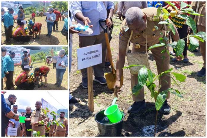 HKG PKK 53 di Wondama, Gubernur Papua Barat Tanam Matoa, Ketua PKK Tanam Rambutan