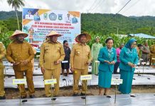 HKG PKK ke 53, PKK Papua Barat Tanam Cabe di Wondama HKG PKK ke 53, PKK Papua Barat Tanam Cabe di Wondama