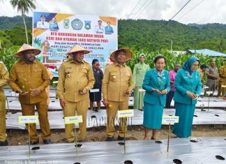 HKG PKK ke 53, PKK Papua Barat Tanam Cabe di Wondama HKG PKK ke 53, PKK Papua Barat Tanam Cabe di Wondama