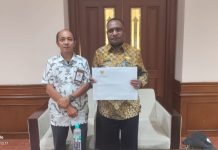 Menpan RB Setujui Formasi 546 CPNS/P3K Kabupaten Pegunungan Arfak Menpan RB Setujui Formasi 546 CPNS/P3K Kabupaten Pegunungan Arfak