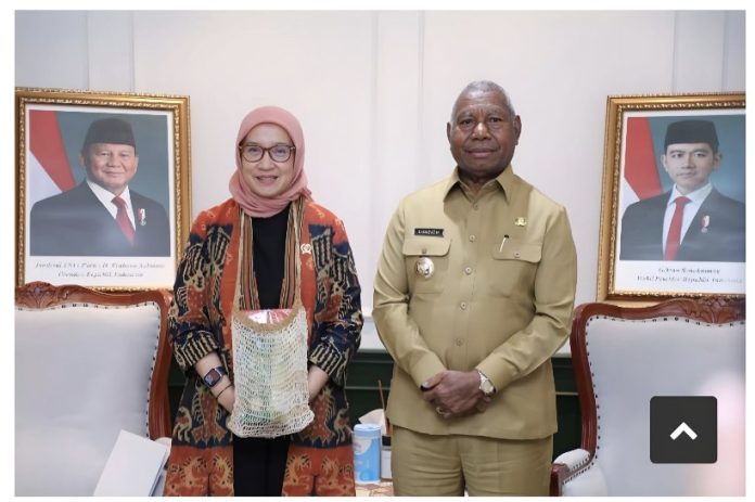Ditemui Gubernur Papua Barat Menpan RB Janji Perhatikan Berbagai Usulan