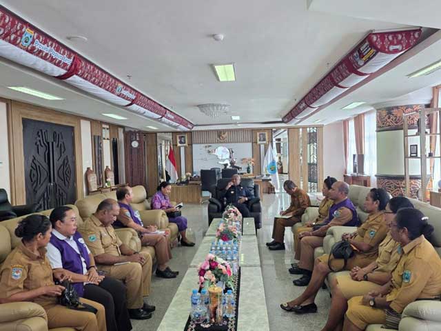 Posyandu-audiensi-gubernur-papua-barat Temui Gubernur, TP Posyandu Papua Barat Serahkan Program 2026