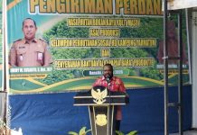 Bupati Mansel Yakin Pengiriman Perdana Kulit Masohi Kering Bisa Dongkrak PAD Bupati Mansel Yakin Pengiriman Perdana Kulit Masohi Kering Bisa Dongkrak PAD