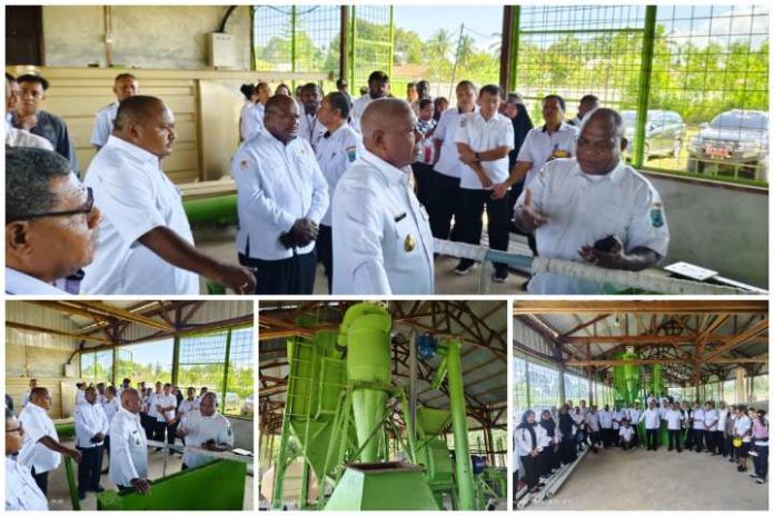 Pabrik Pakan Ternak Papua Barat Operasional 2027