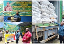 Papua Barat Kirim Perdana Kulit Masohi Kering ke Surabaya Papua Barat Kirim Perdana Kulit Masohi Kering ke Surabaya