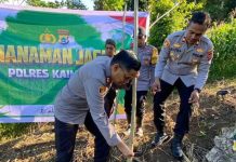 Polres Kaimana Bagi Bibit ke Petani dan Tanam Jagung Serentak Polres Kaimana Bagi Bibit ke Petani dan Tanam Jagung Serentak