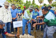 Gubernur Papua Barat Canangkan Penanaman 1 Juta Matoa Gubernur Papua Barat Canangkan Penanaman 1 Juta Matoa