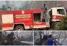 Damkar Kaimana Terus Siaga Padamkan Karhutla Damkar Kaimana Terus Siaga Padamkan Karhutla