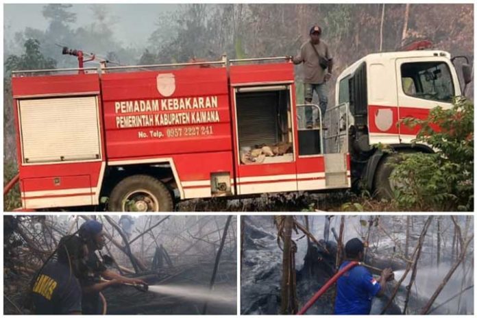 Dinas-Damkar-Kaimana-karhutla Damkar Kaimana Terus Siaga Padamkan Karhutla