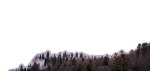 level1.png
